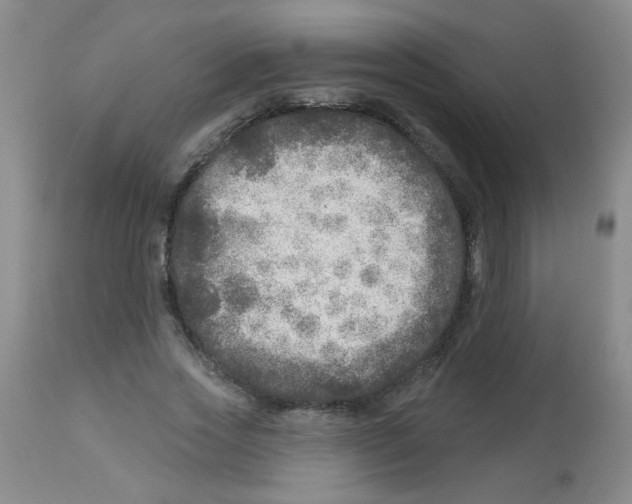 X0000113960733200910232028