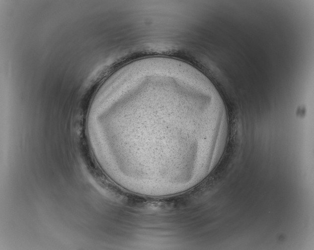 X0000113960736200910232028