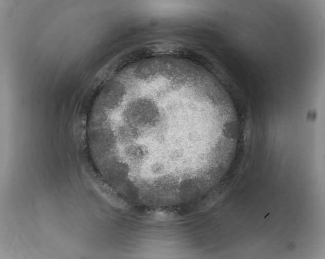 X0000113960737200910232028