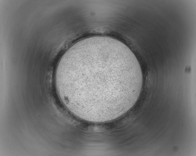 X0000113960739200910232028