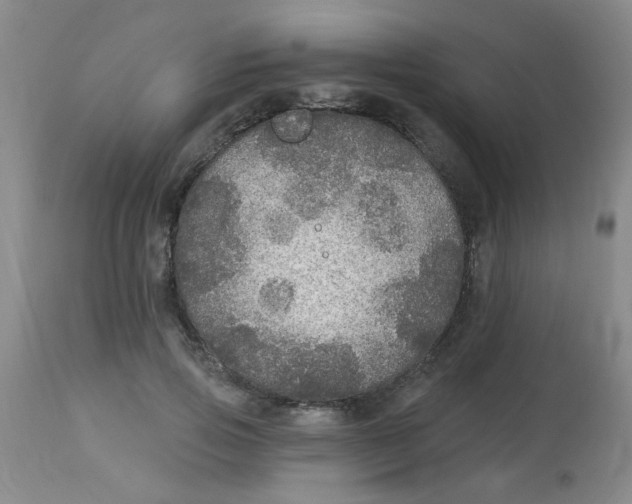 X0000113960741200910232028