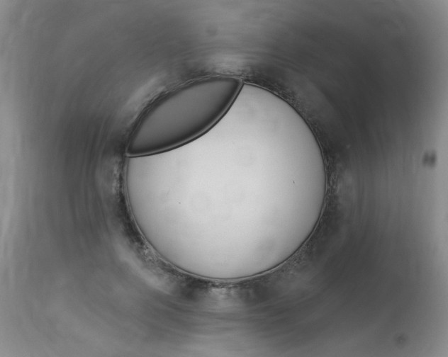 X0000113960744200910232028