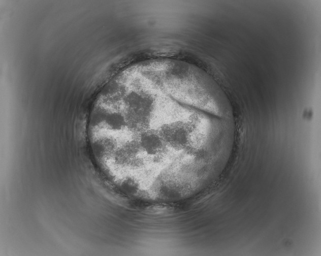 X0000113960745200910232028