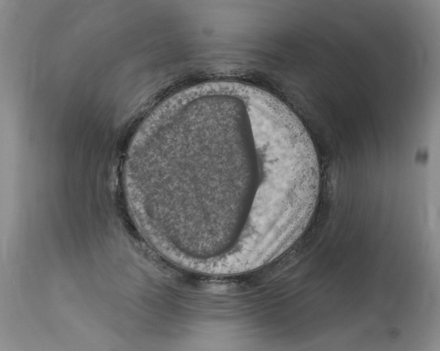 X0000113960746200910232028