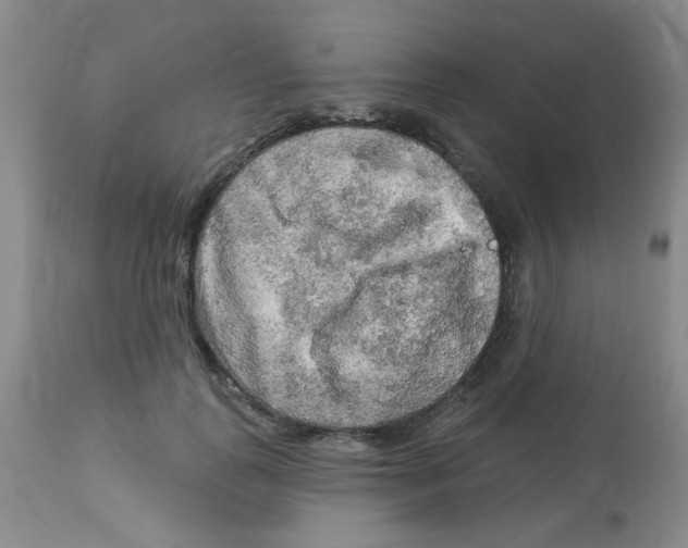 X0000113960747200910232028