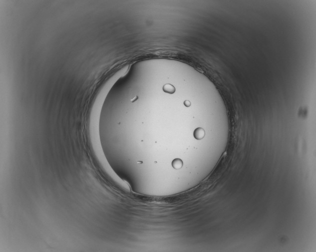 X0000113960748200910232028