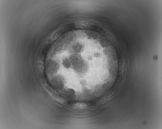 X0000113960749200910232028