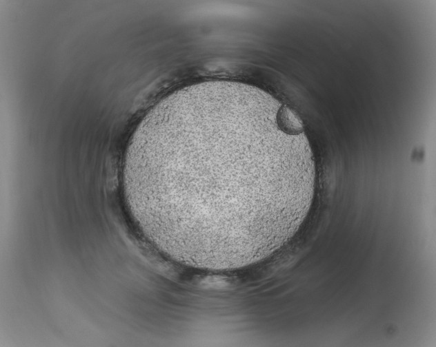 X0000113960751200910232028