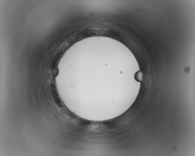 X0000113960752200910232028