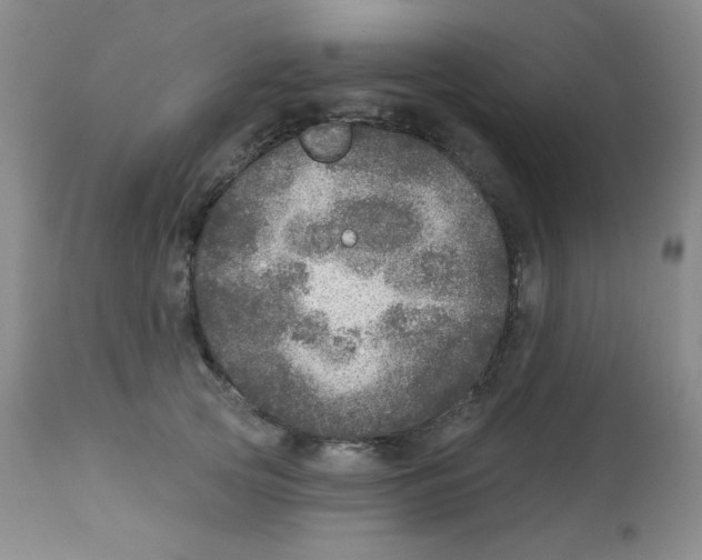 X0000113960753200910232028