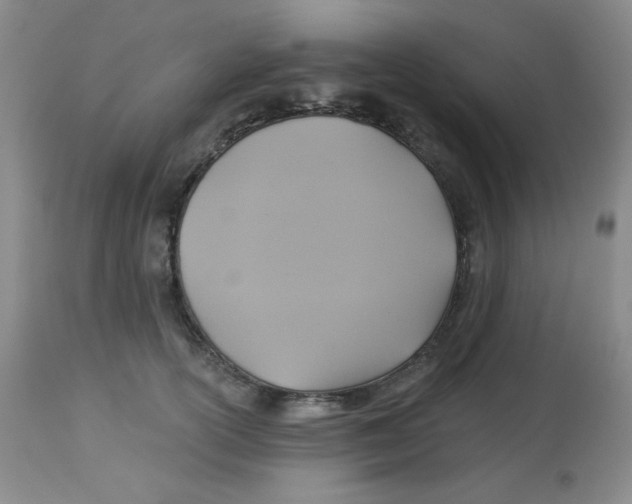 X0000113960754200910232028