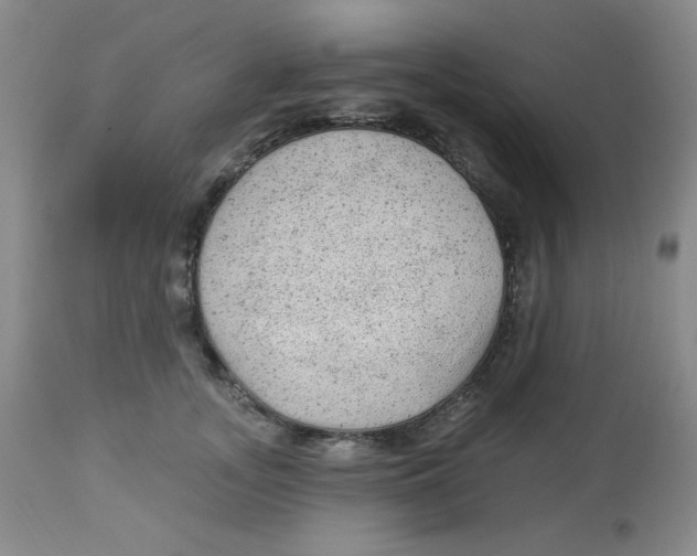 X0000113960755200910232028