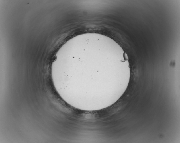 X0000113960756200910232028