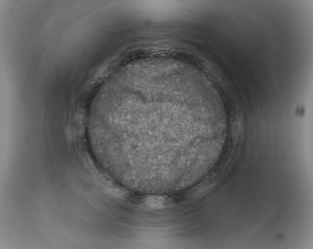 X0000113960757200910232028