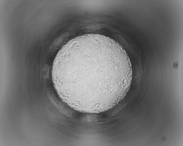 X0000113960758200910232028