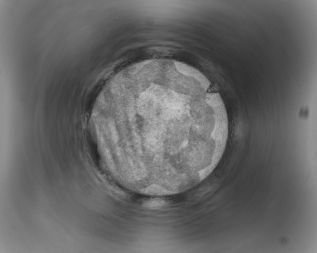 X0000113960759200910232028