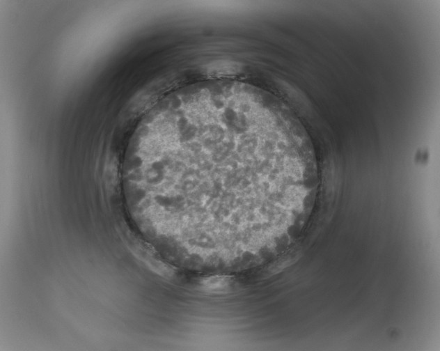 X0000113960761200910232028