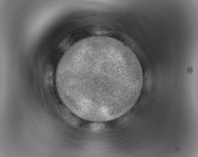 X0000113960762200910232028