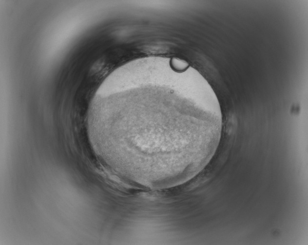 X0000113960763200910232028