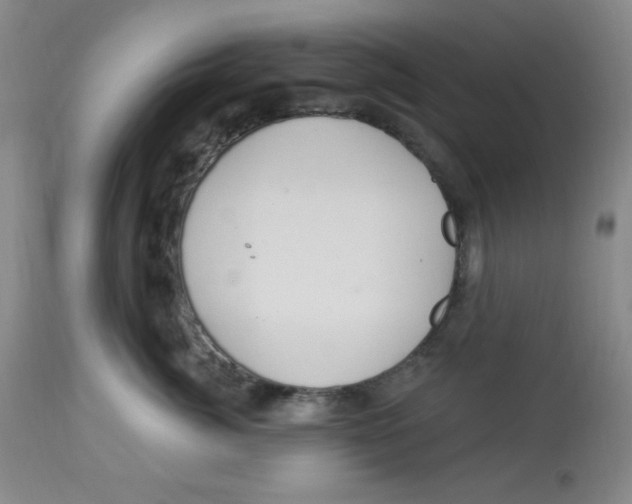 X0000113960764200910232028