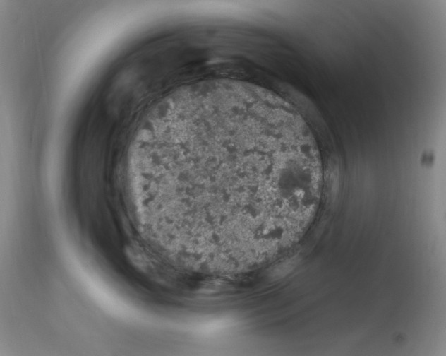 X0000113960765200910232028