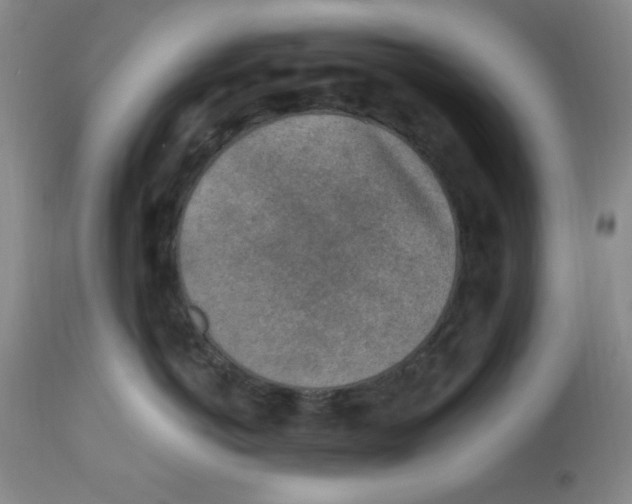 X0000113960766200910232028