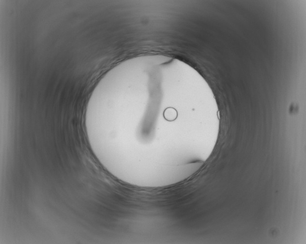 X0000113960768200910232028