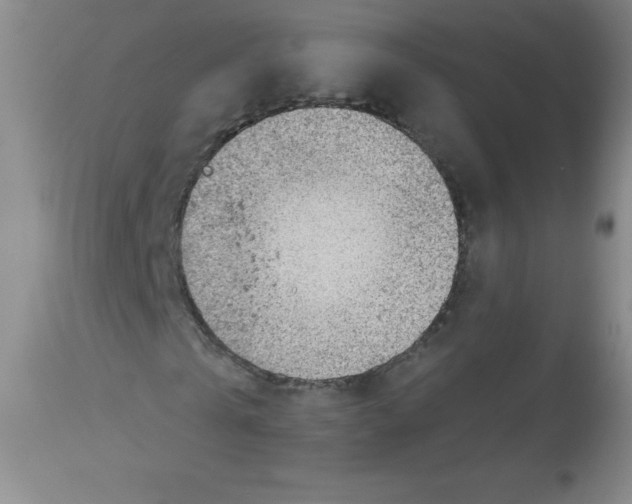 X0000113960769200910232028