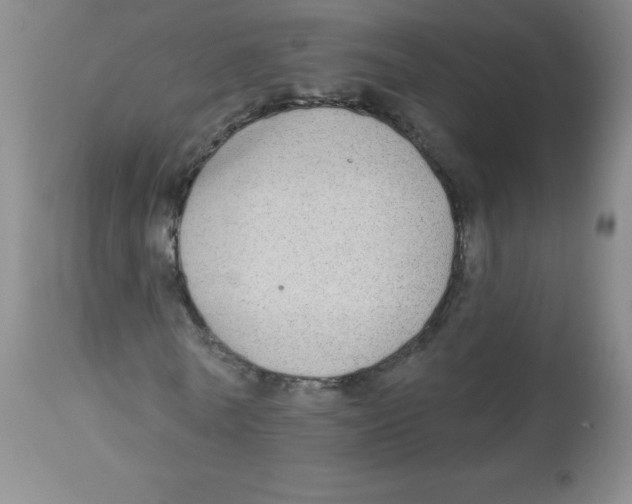 X0000113960770200910232028