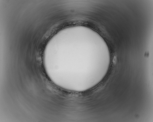 X0000113960771200910232028