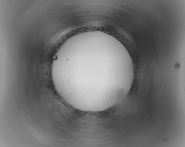 X0000113960773200910232028