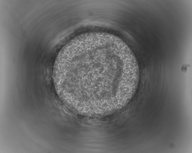 X0000113960774200910232028