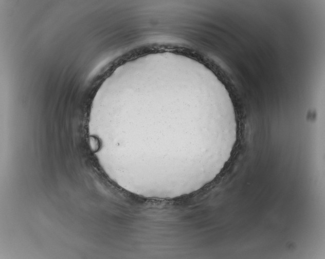 X0000113960775200910232028