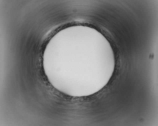 X0000113960776200910232028