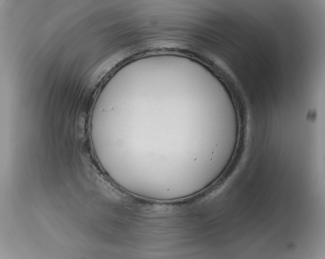 X0000113960777200910232028