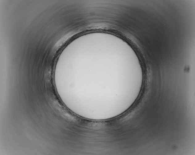 X0000113960778200910232028