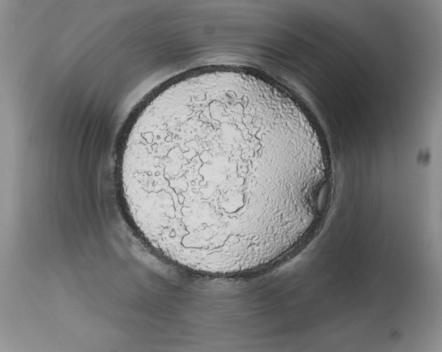 X0000113960779200910232028