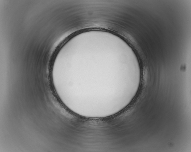 X0000113960780200910232028