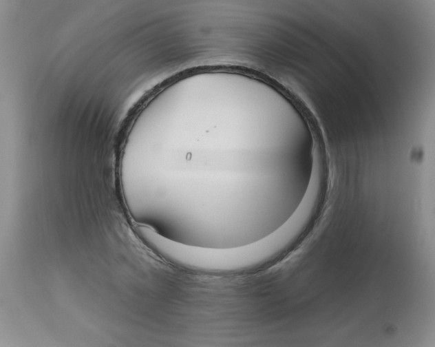 X0000113960781200910232028