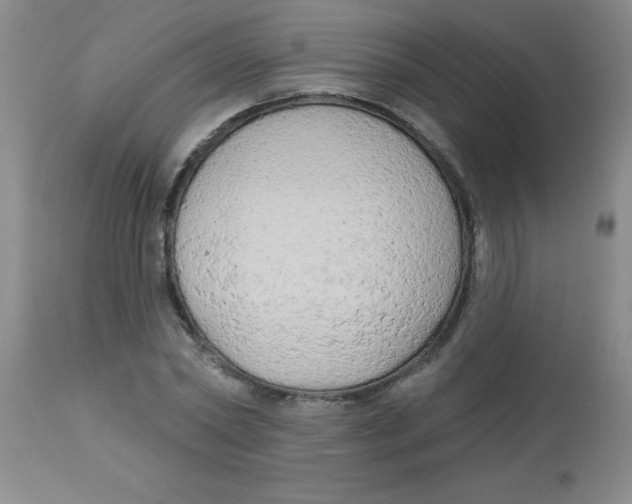 X0000113960782200910232028