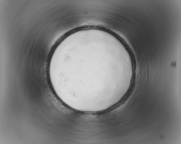 X0000113960783200910232028