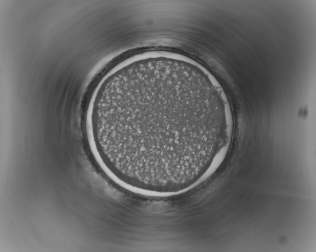 X0000113960784200910232028