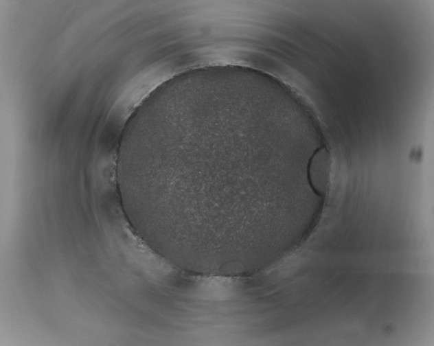 X0000113960785200910232028