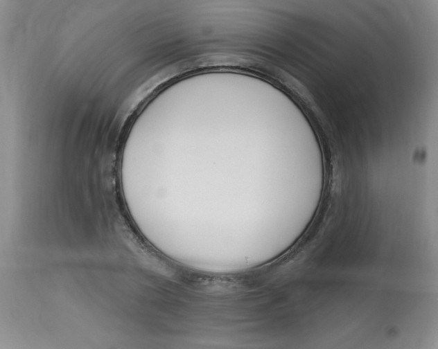 X0000113960786200910232027