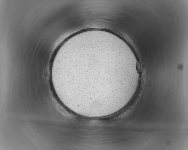 X0000113960787200910232027