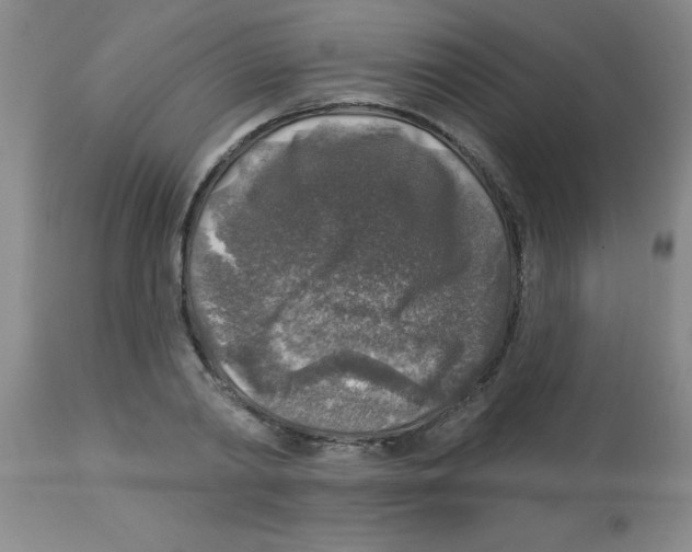 X0000113960790200910232027