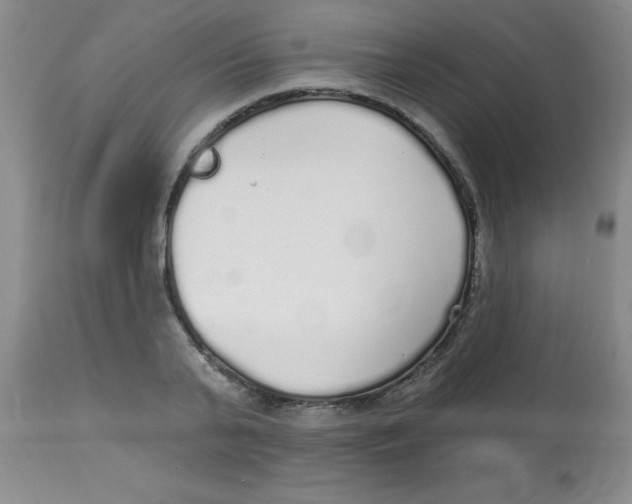 X0000113960791200910232027