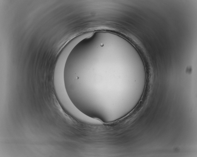 X0000113960793200910232027