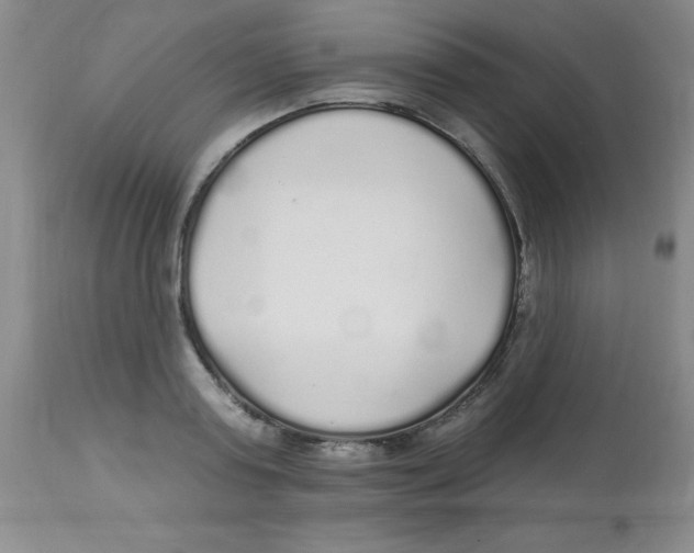 X0000113960795200910232027