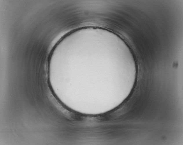 X0000113960796200910232027